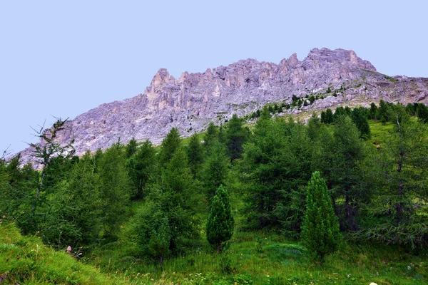 Montanha Latemar Obereggen Nas Dolomitas Itália — Fotografia de Stock