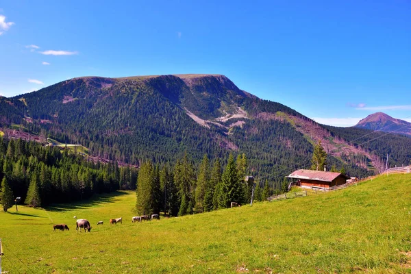 Montaña Latemar Obereggen Los Dolomitas Italia — Foto de Stock