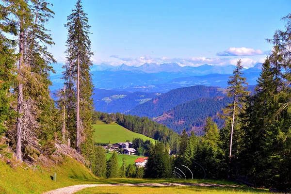 Latemar Obereggen Mountain Dolomites Italy — Stock Photo, Image