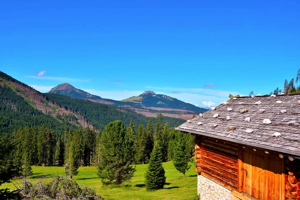 Panorama Latemar Obereggen Alto Adige Włochy — Zdjęcie stockowe