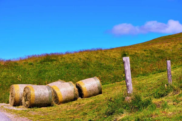 Dolomitler Talya Latemar Obereggen Dağı — Stok fotoğraf