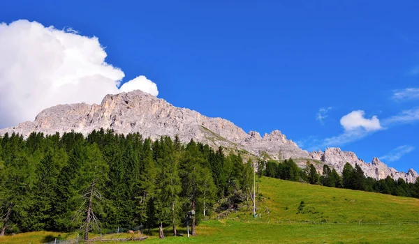 Montagne Latemar Obereggen Dans Les Dolomites Italie — Photo
