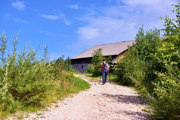 Dolomitikus Obereggen Alto Adige Olaszország — Stock Fotó