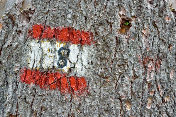 Numbered Trail Marker Obereggen Leads Carezza Lake August 2019 Nova — Stock Photo, Image