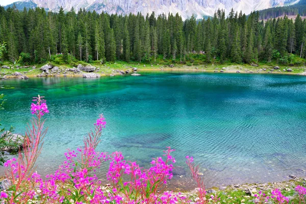 Carezza Lago Dolomiti Alto Adige Italia — Foto Stock