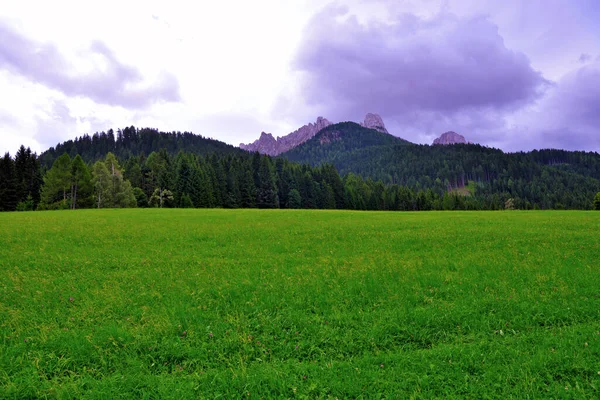 Dolomitic Path Obereggen Alto Adige Italy — стоковое фото