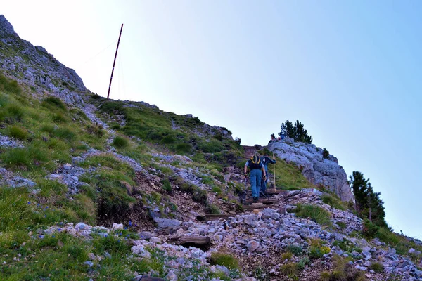 Skacze Kierunku Wieży Ścieżki Schronienia Pizie Latemar Predazzo Pampeago Dolomity — Zdjęcie stockowe