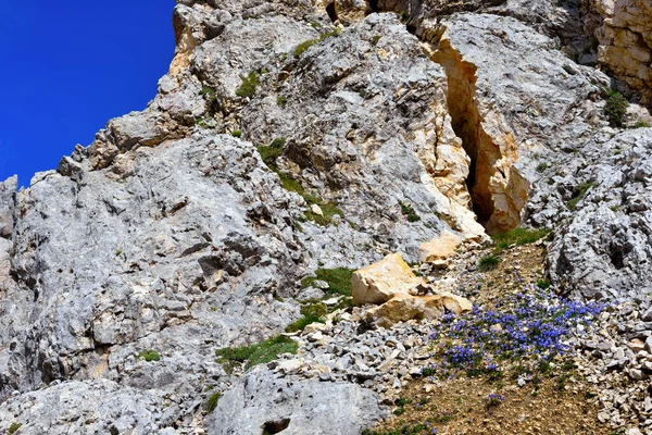 Salta Para Torre Caminho Refúgio Pisa Latemar Predazzo Pampeago Dolomites — Fotografia de Stock