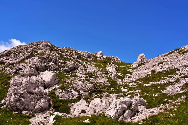 Salta Hacia Torre Ruta Refugio Pisa Latemar Predazzo Pampeago Dolomites —  Fotos de Stock