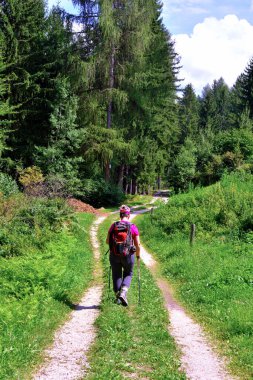 İtalya 'yı terk etmek için Cornedo All' isarco Trentino yakınlarındaki ormanlar