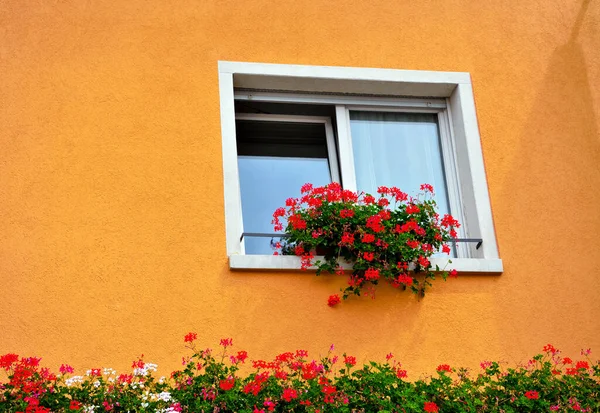 Folgaria Trento Talya Nın Tarihi Merkezinde Pitoresk Pencereler — Stok fotoğraf