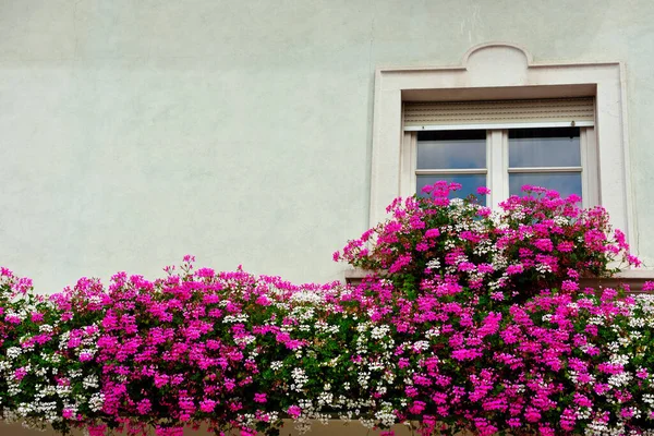 Malerische Fenster Historischen Zentrum Von Folgaria Trient Italien — Stockfoto