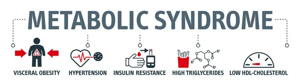Symptome Des Metabolischen Syndroms Vektor Icon Konzepts Bluthochdruck Insulinresistenz Hohe — Stockvektor