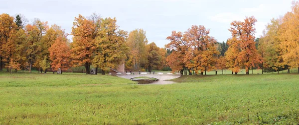 巴甫洛夫斯克公园在秋天。全景 — 图库照片