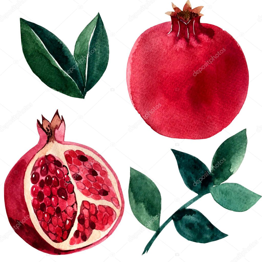 watercolor set pomegranate fruit and leaves