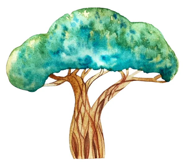 Watercolor illustration. the tree is deciduous, nature, ecology. — Stock Photo, Image