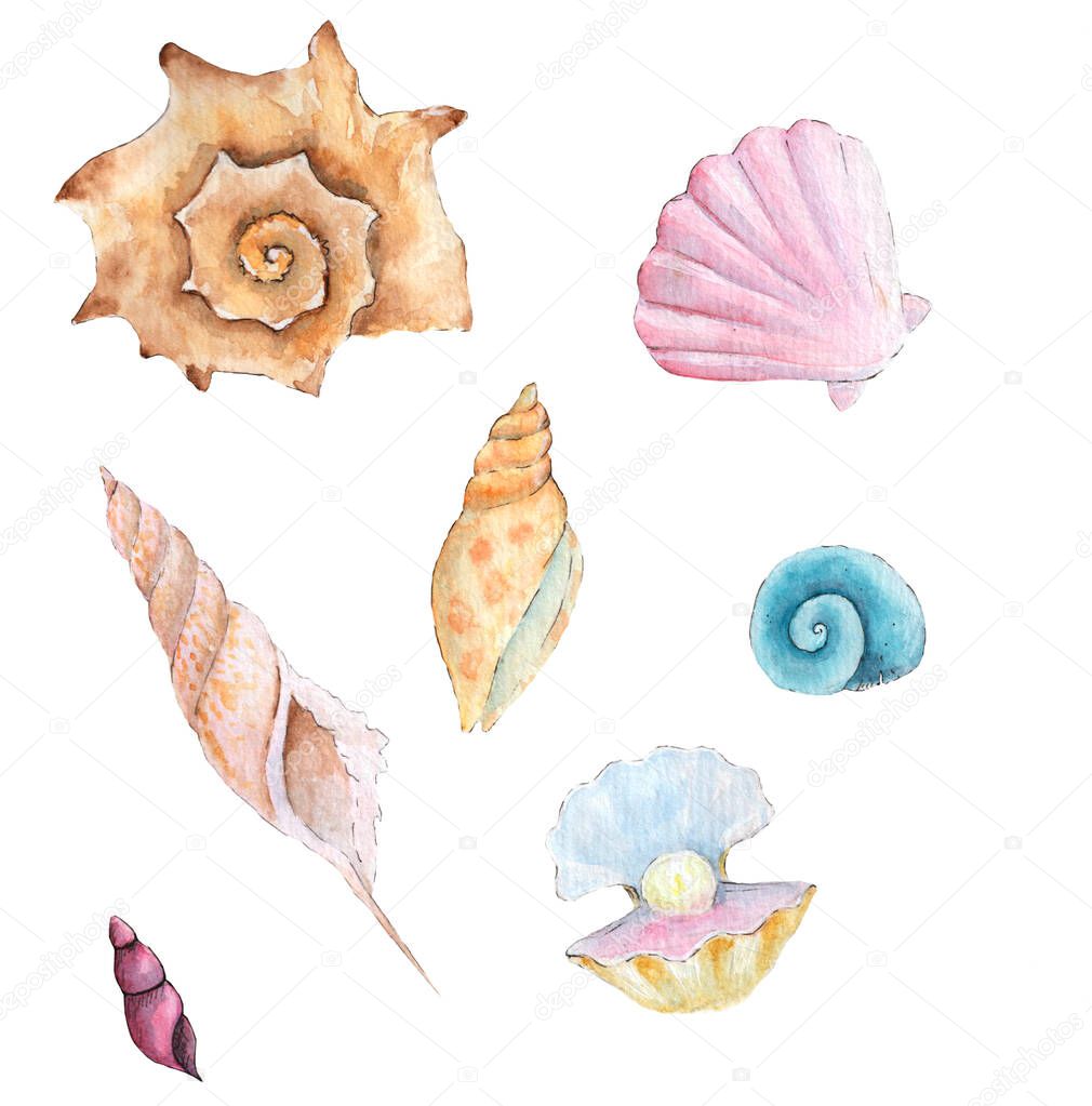 Watercolor seashells on white background hand-drawn illustration. Marine shells in pastel colors. Watercolour summer vacation design elements. Watercolor sea shells clipart.