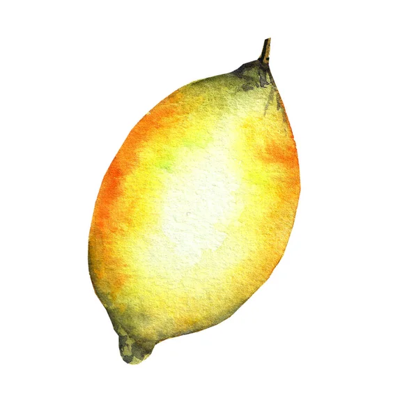Akvarell citron handritad. Isolerad på vit bakgrund — Stockfoto