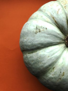 Balkabağı turuncu arka planda izole edilmiş. Yakın plan fotoğraf.