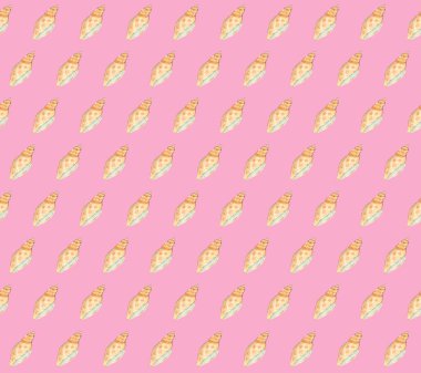 Pembe arka planda elle boyanmış suluboya deniz kabuğu deseni..