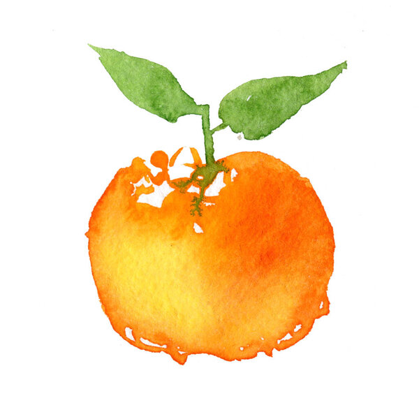 Bright watercolor tangerines on a white background. Hand painted illustration