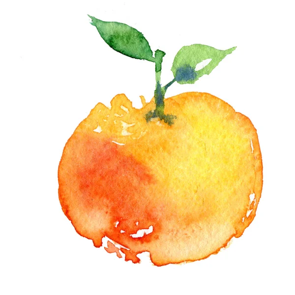 Tangerinas aquarela brilhante em um fundo branco. Ilustração pintada à mão — Fotografia de Stock