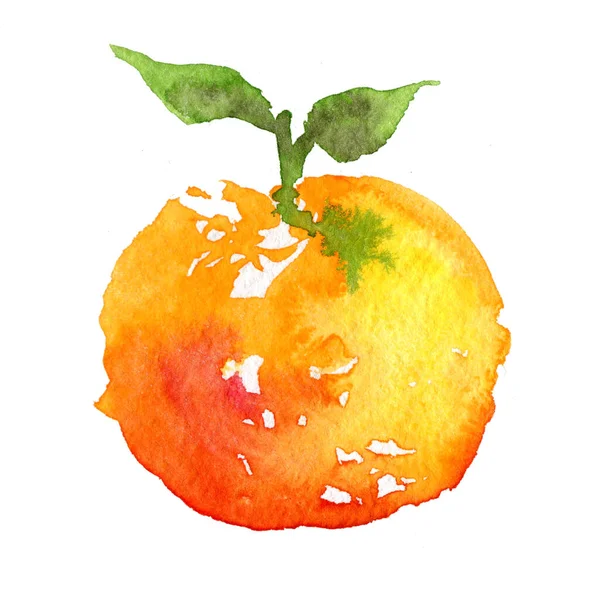 Tangerinas aquarela brilhante em um fundo branco. Ilustração pintada à mão — Fotografia de Stock