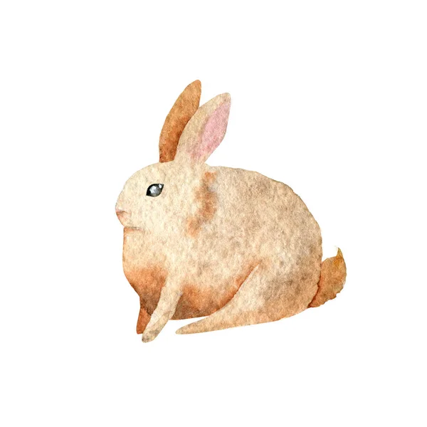 Watercolor Easter bunnies. Hand-drawn illustration. Watercolor rabbit isolated on white background — 图库照片