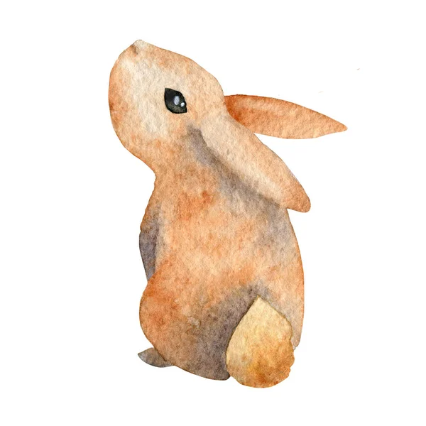 Akwarelowe króliczki wielkanocne. Ręcznie rysowana ilustracja. izolowany na białym tle — Zdjęcie stockowe