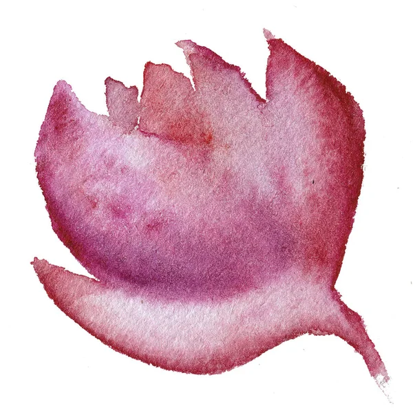 Maroon watercolor flower. Hand drawn on paper. Watercolor illustration. — Stock Photo, Image