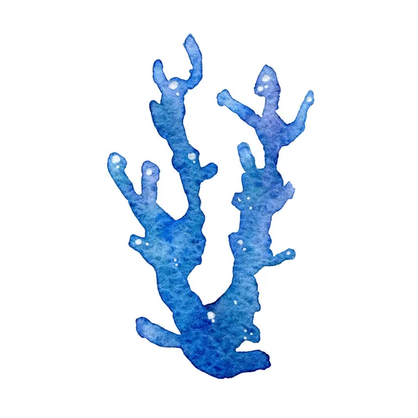 Aquarelillustratie van de blauwe koraalriffen op een witte achtergrond. Handgetekend op papier. — Stockfoto