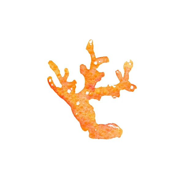 Akwarelowa ilustracja pomarańczowych raf koralowych na białym tle. Ręcznie rysowane na papierze. — Zdjęcie stockowe