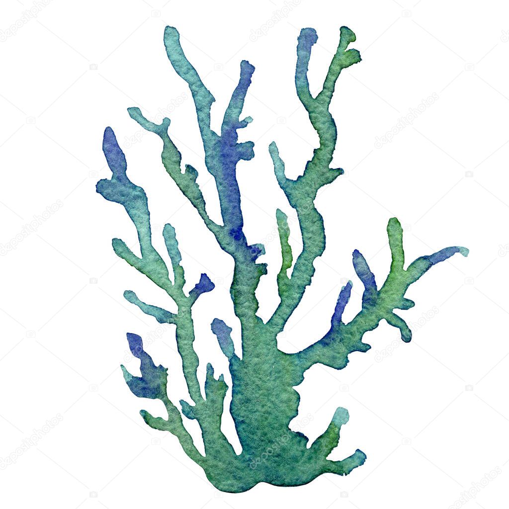 Watercolor illustration of the coral reefs on a white background. Hand drawn on paper. Colorful bright corals