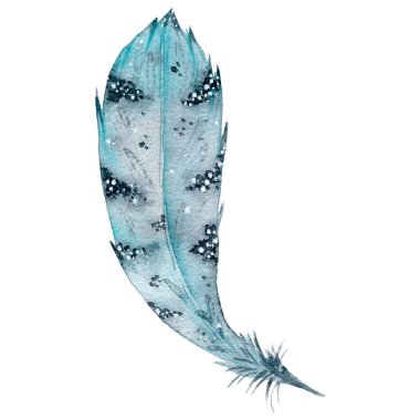 Kağıda elle çizilmiş suluboya tüy. Hassas suluboya çizimi. Boho