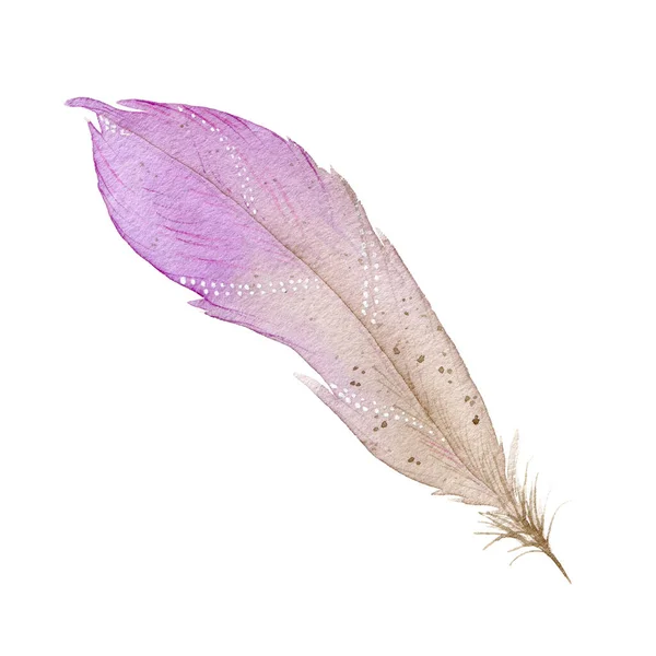 Watercolor feather hand-drawn on paper. Delicate watercolor illustration. Boho — Stock Photo, Image