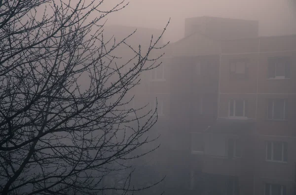Brouillard dans la ville — Photo