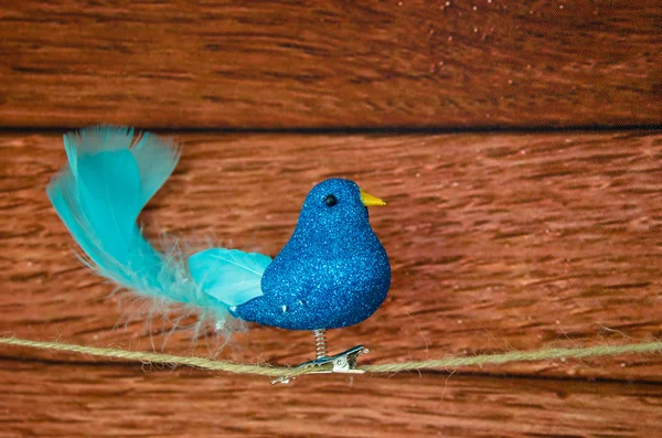 Blau leuchtender Vogel — Stockfoto