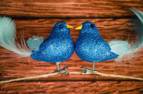 Dva ptáci v lásce — Stock fotografie