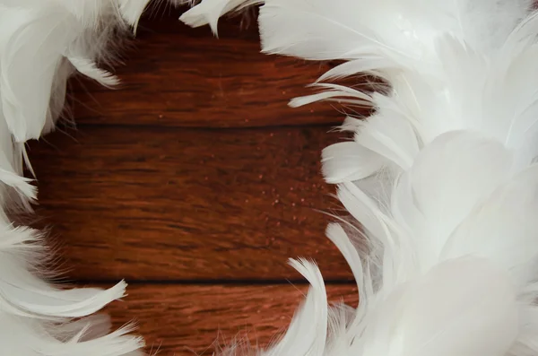 Украшение из белого пера — стоковое фото