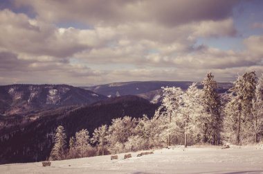 kış ülke görünümü