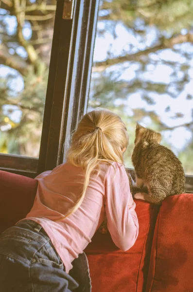Çocuk ve kedi — Stok fotoğraf