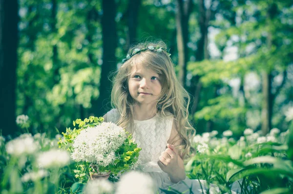 Roztomilá krásná dívka — Stock fotografie