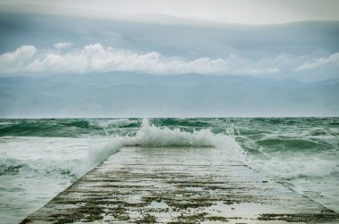 denize kayalık köstebek