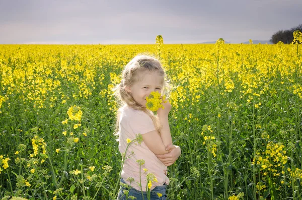 Criança pequena no campo de colza amarelo cênico — Fotografia de Stock