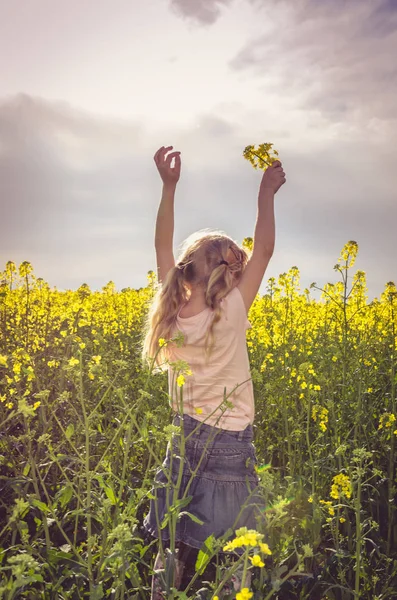 Bambino piccolo in scenico campo di colza giallo — Foto Stock