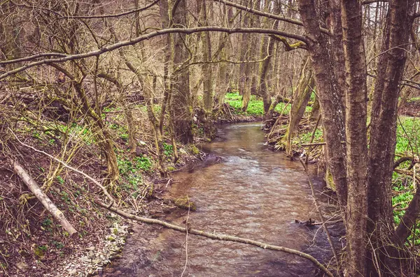Primavera campo y río — Foto de Stock