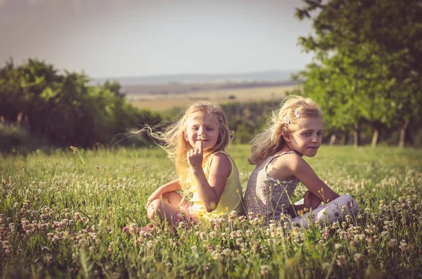 Lovely blond girls sitting in meadow — Stock Photo, Image