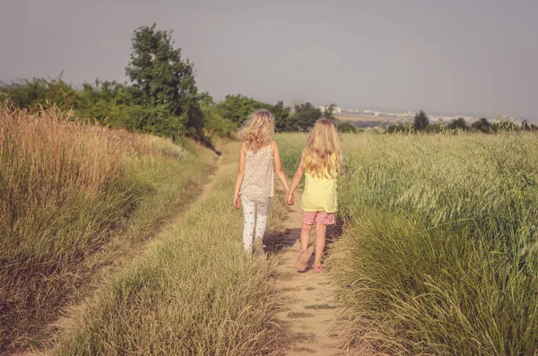 In het land — Stockfoto