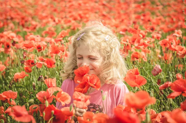 Cheirar flores vermelhas selvagens — Fotografia de Stock