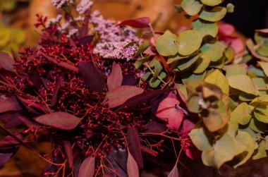 Kurutulmuş çiçek dekorasyon